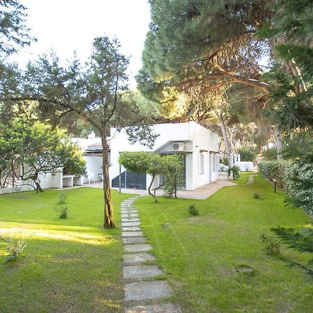 Move to Sardinia Villa Eucalipto Valledoria  Esterno foto