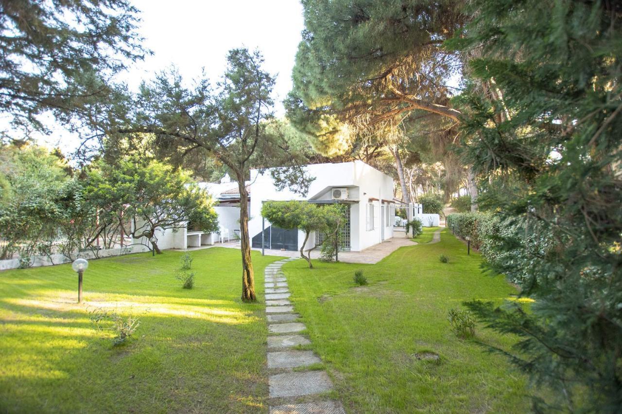 Move to Sardinia Villa Eucalipto Valledoria  Esterno foto